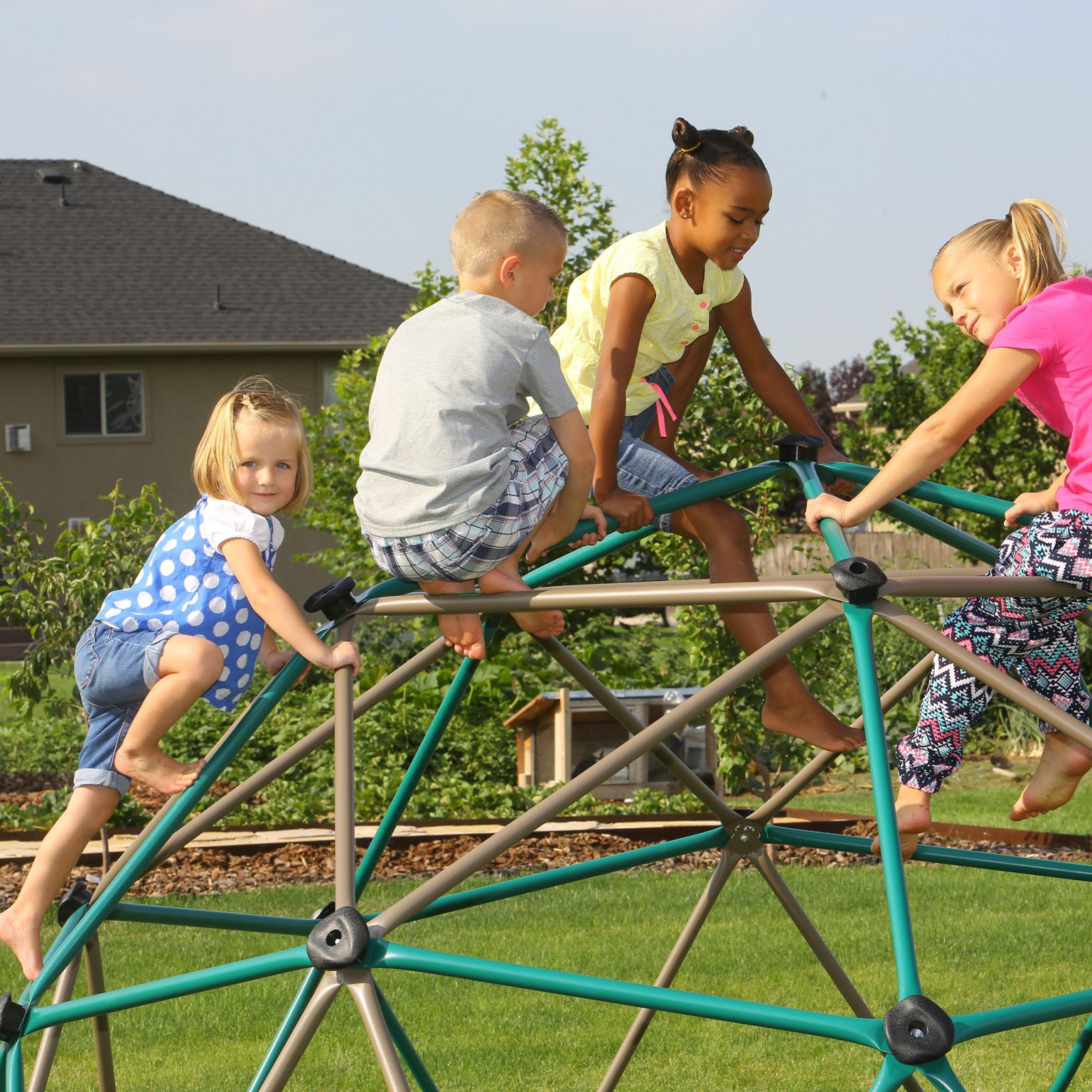 Lifetime 60Inch Climbing Dome, Earthtones LifeToyZ