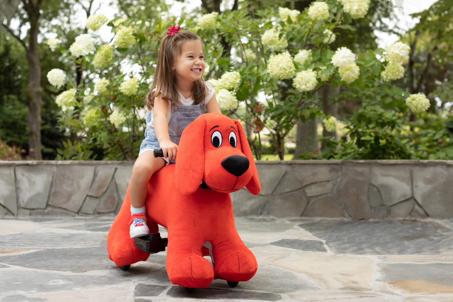 toy clifford
